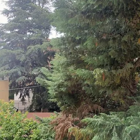 Finalmente House Bologna
